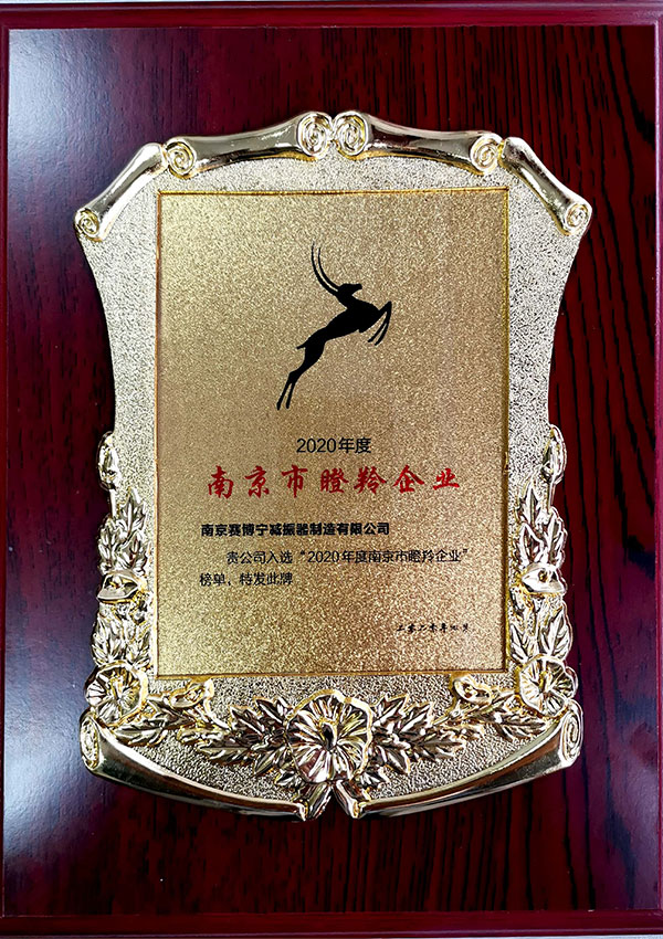 Nanjing Gazelle Enterprise