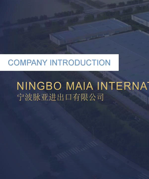 Maia Company Introduction cover